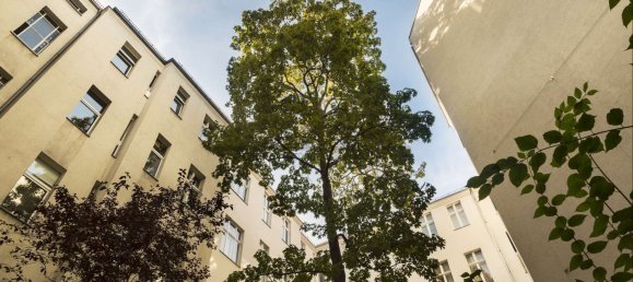 Bâtiment à Schoneberg, Germany 1768m² No. 259774 6