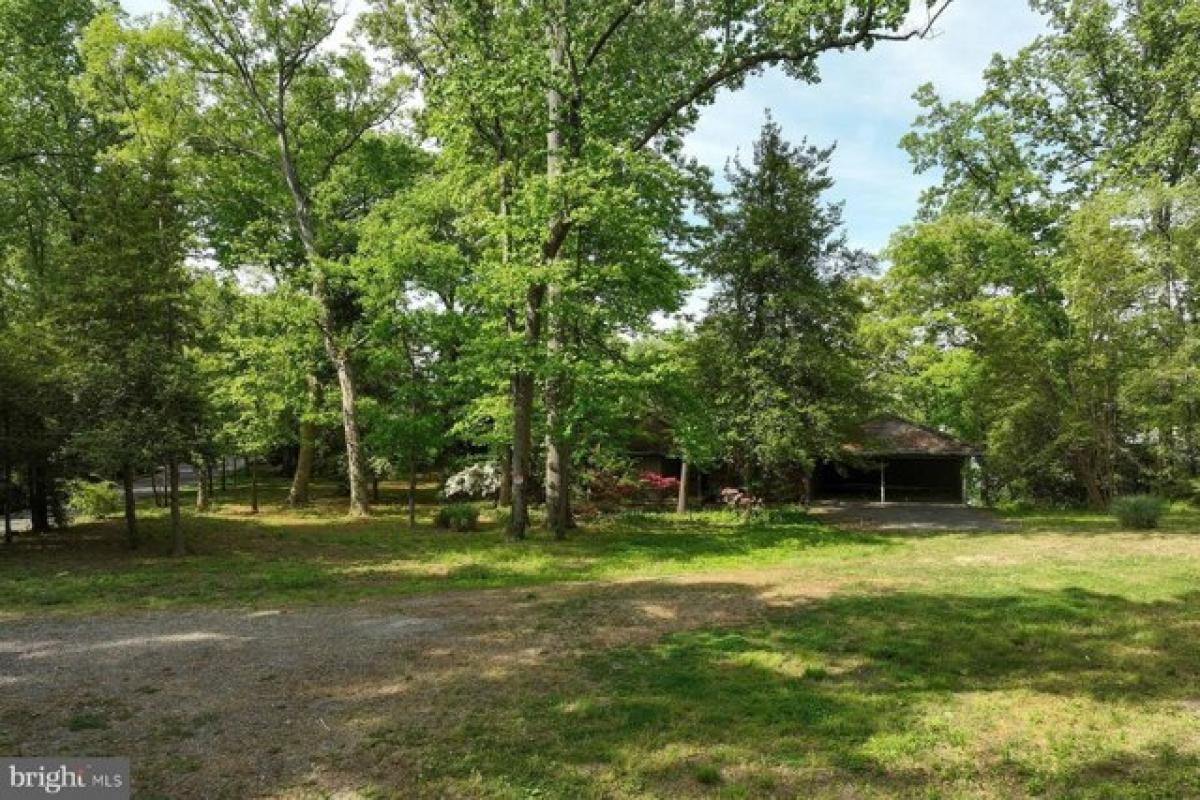 Grundstück in Annapolis, USA, Nr. 479242