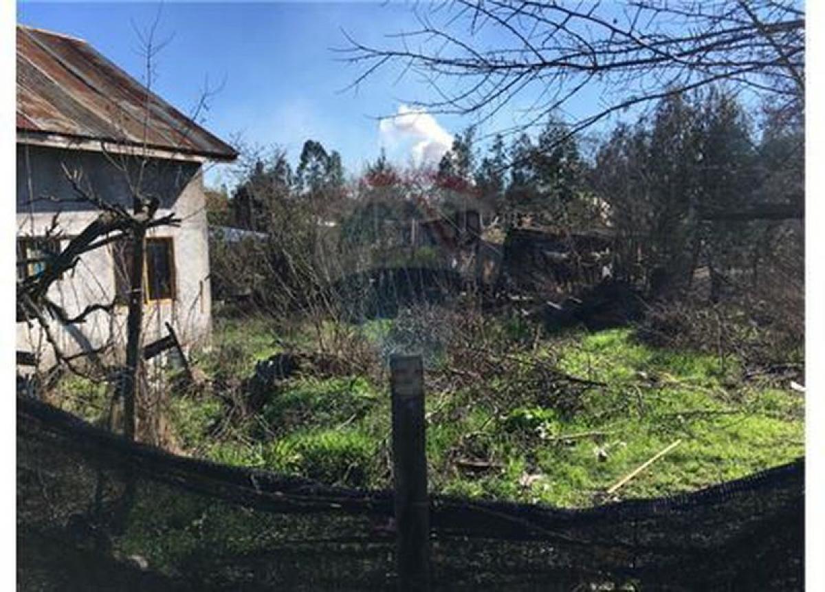  Land in Maule, Chile No. 624