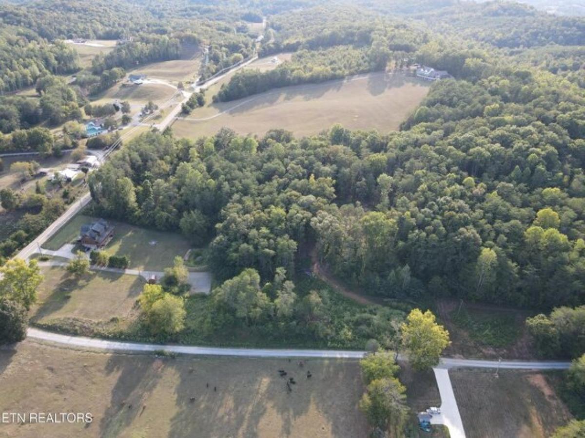  Land in Maryville, USA No. 473914