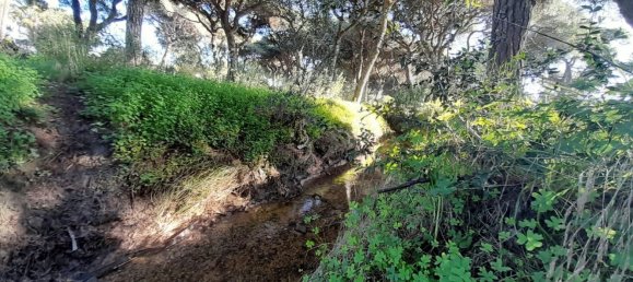 7 bedrooms House in Chipiona, Spain No. 147969 33