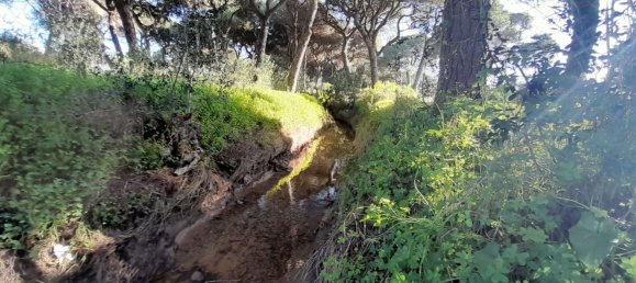 7 bedrooms House in Chipiona, Spain No. 147969 34