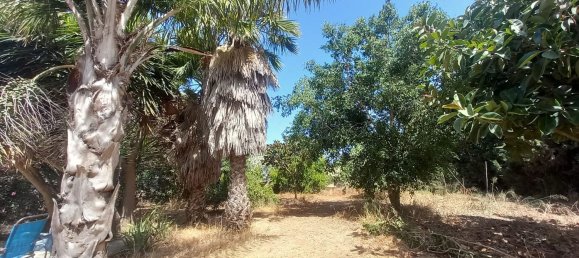 7 bedrooms House in Chipiona, Spain No. 147969 31