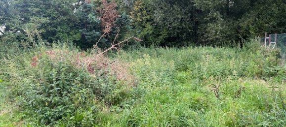 5 rooms Townhouse in Gustrow, Germany No. 321628 19