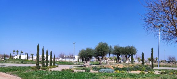 3 Schlafzimmer Wohnung in Torre-Pacheco, Spain, Nr. 6647 10