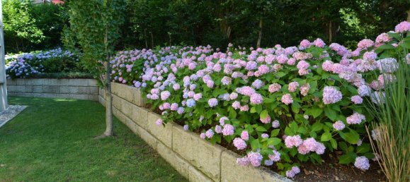 4-Zimmer Wohnung in Pörtschach am Wörther See, Austria, Nr. 160740 6