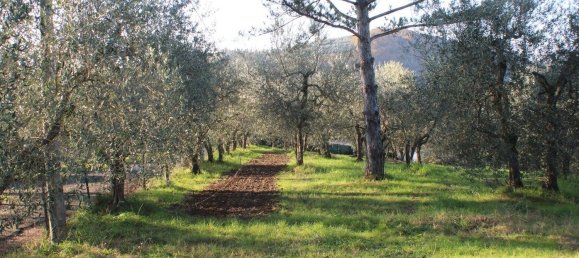 5 rooms Apartment in Florence, Italy No. 233127 9