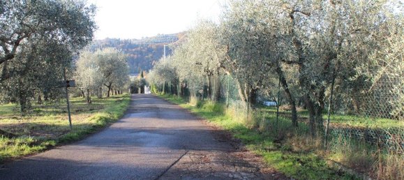 5 rooms Apartment in Florence, Italy No. 233127 3