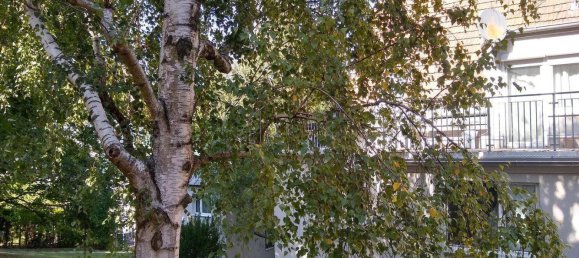 Apartamento de 1 dormitorio en Dobling, Austria No. 253656 18