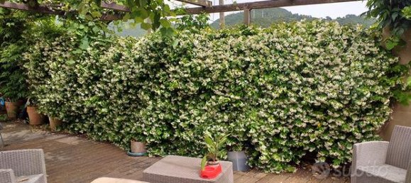 4 rooms Villa in Ceriana, Italy No. 251802 10