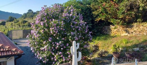 4 rooms Villa in Ceriana, Italy No. 251802 9