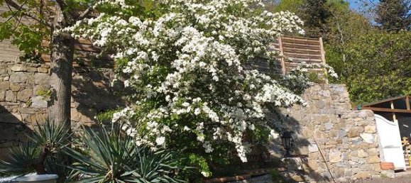 4 rooms Villa in Ceriana, Italy No. 251802 7