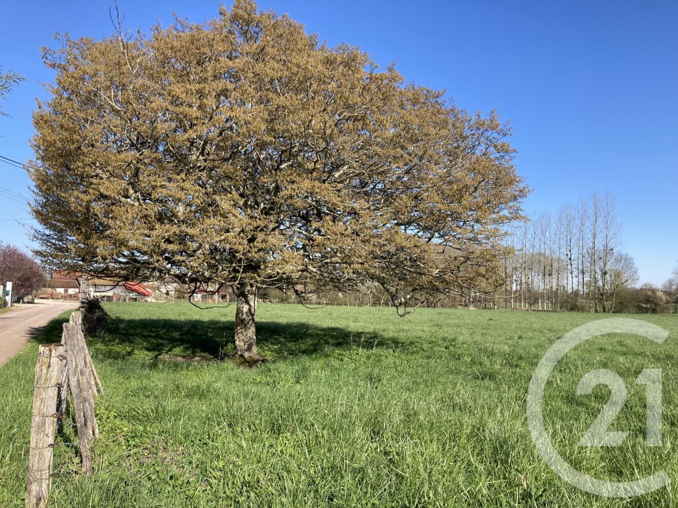 Terrain à Ervy-le-Châtel, France No. 156456