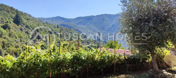10 rooms Villa in Fabbriche di Vergemoli, Italy No. 135893 16