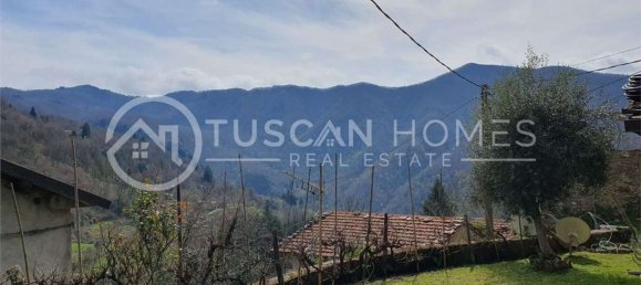 10 rooms Villa in Fabbriche di Vergemoli, Italy No. 135893 8