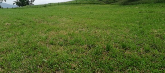 Grundstück in Cantabria, Spain, Nr. 158065 2