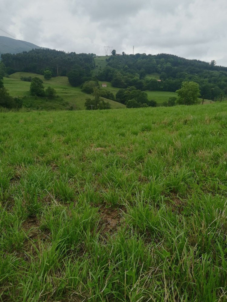Grundstück in Cantabria, Spain, Nr. 158065