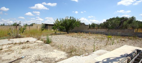 1 chambre Terrain à Matino, Italy No. 309156 14