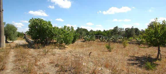 1 chambre Terrain à Matino, Italy No. 309156 10
