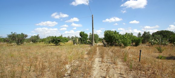 1 chambre Terrain à Matino, Italy No. 309156 9