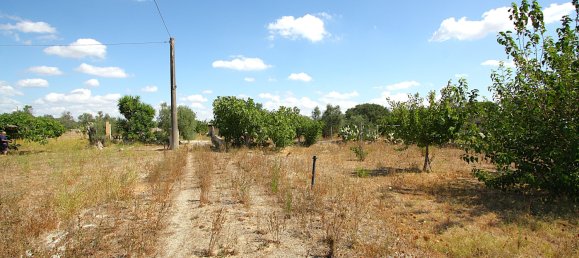 1 chambre Terrain à Matino, Italy No. 309156 8
