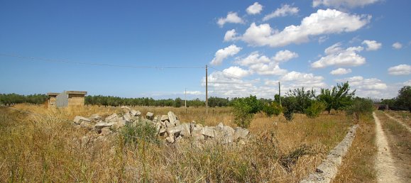 1 chambre Terrain à Matino, Italy No. 309156 21