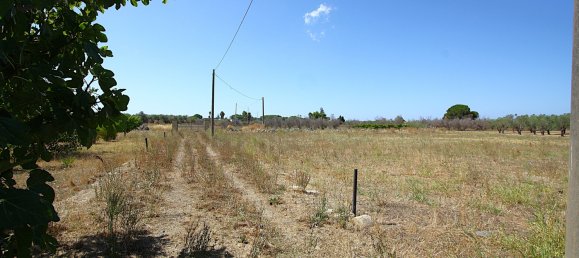 1 chambre Terrain à Matino, Italy No. 309156 5