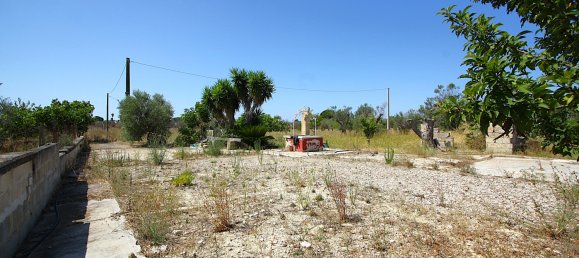 1 chambre Terrain à Matino, Italy No. 309156 13