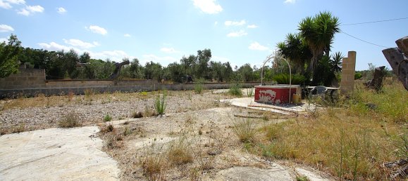 1 chambre Terrain à Matino, Italy No. 309156 16