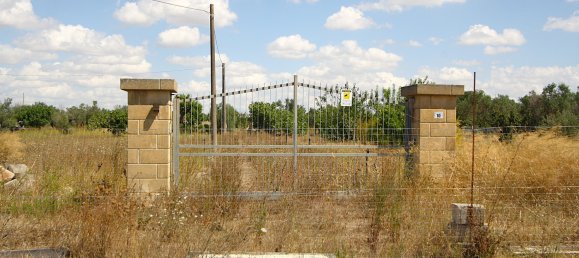 1 chambre Terrain à Matino, Italy No. 309156 25