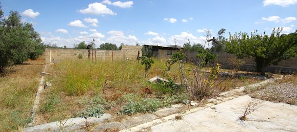 1 chambre Terrain à Matino, Italy No. 309156 15