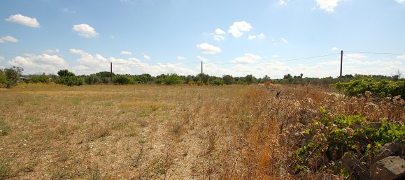 1 chambre Terrain à Matino, Italy No. 309156 20