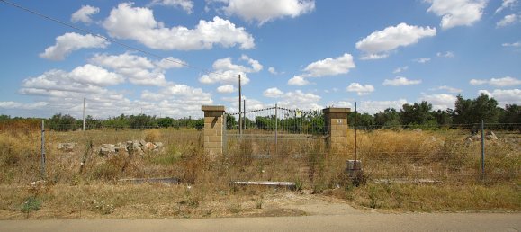 1 chambre Terrain à Matino, Italy No. 309156 24