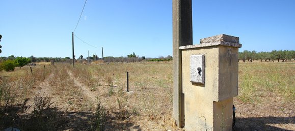 1 chambre Terrain à Matino, Italy No. 309156 12
