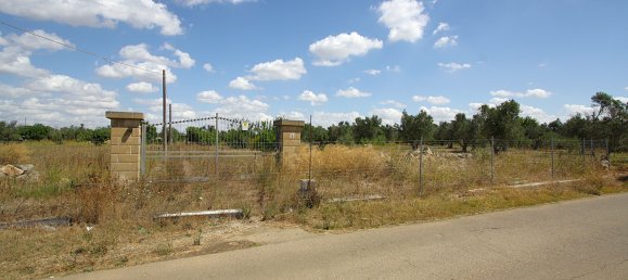 1 chambre Terrain à Matino, Italy No. 309156 22