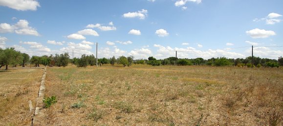 1 chambre Terrain à Matino, Italy No. 309156 19