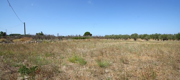 1 chambre Terrain à Matino, Italy No. 309156 7