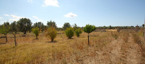 1 chambre Terrain à Matino, Italy No. 309156 6