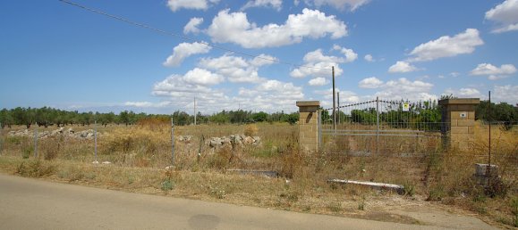 1 chambre Terrain à Matino, Italy No. 309156 23