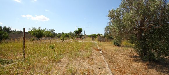 1 chambre Terrain à Matino, Italy No. 309156 3