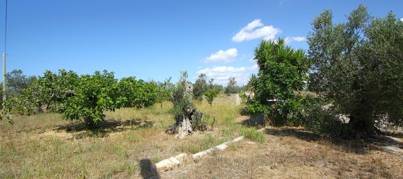 1 chambre Terrain à Matino, Italy No. 309156 11