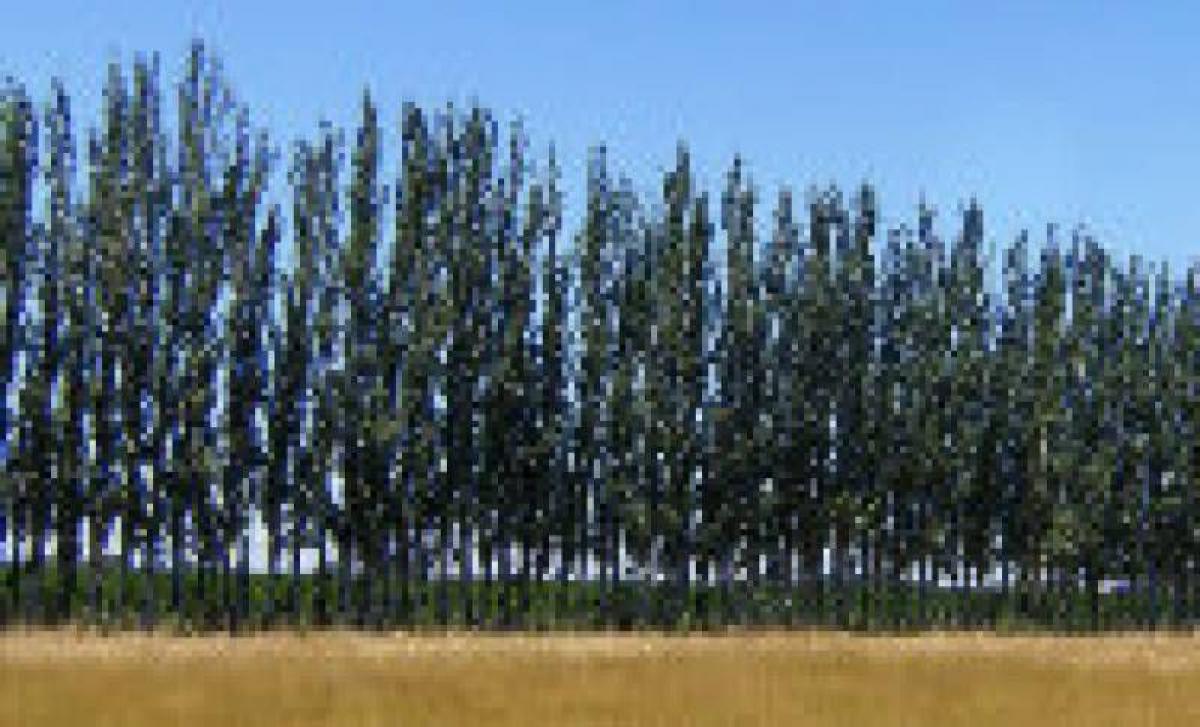 Grundstück in Roque Perez, Argentina, Nr. 37397