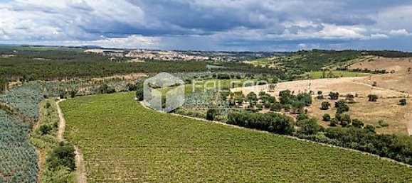 Terrain à Azambuja, Portugal 23488m² No. 39532 9