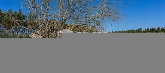 Terrain à Azambuja, Portugal 23488m² No. 39532 42