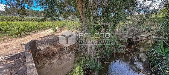 Terrain à Azambuja, Portugal 23488m² No. 39532 32