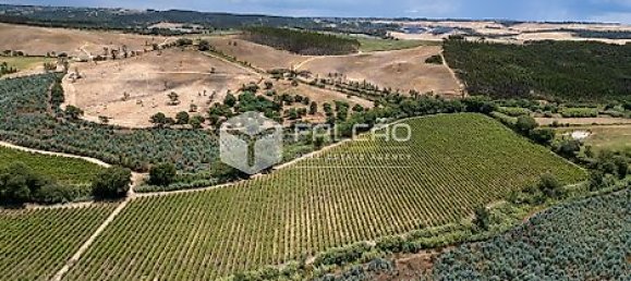 Terrain à Azambuja, Portugal 23488m² No. 39532 8