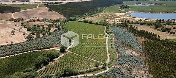 Terrain à Azambuja, Portugal 23488m² No. 39532 6