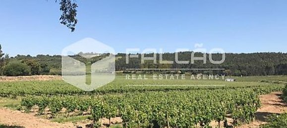 Terrain à Azambuja, Portugal 23488m² No. 39532 40