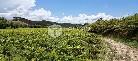 Terrain à Azambuja, Portugal 23488m² No. 39532 27