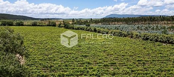 Terrain à Azambuja, Portugal 23488m² No. 39532 19